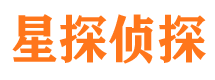 平南市侦探公司